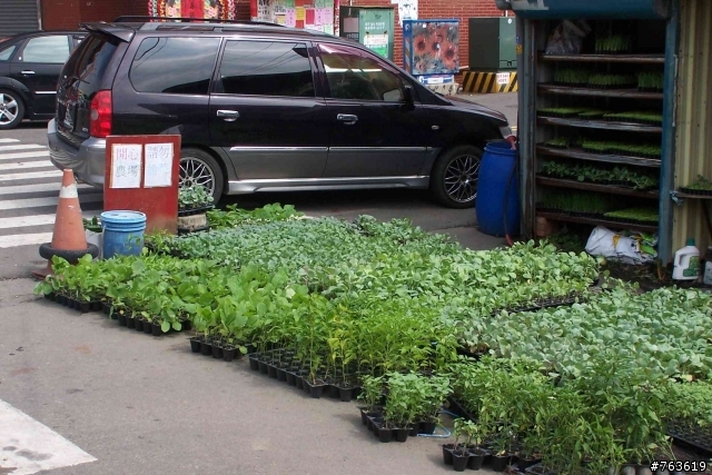 ~~開心農場,請勿偷菜~~