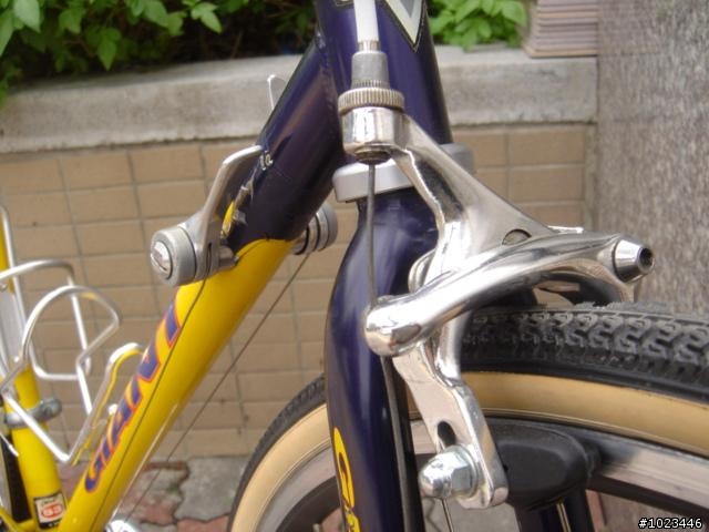 <分享>國產鋼管捷安特1998環台賽紀念車 第2彈!