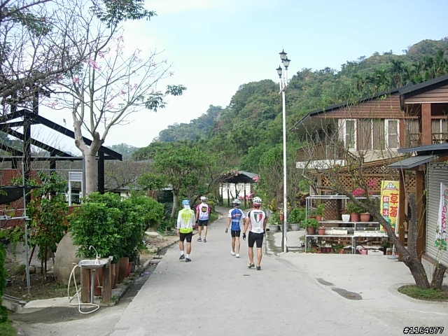 【團騎】11月22日(日)新社花海~要一起吃午餐的請快報名,前50名有贈品喔!
