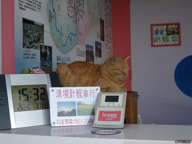 鐵腿(台語)二人組中橫二日遊（埔里至武嶺至花蓮）