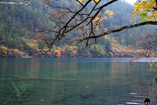 [分享-九寨溝] 絕塵九寨水如仙---峨眉樂山蜀中行