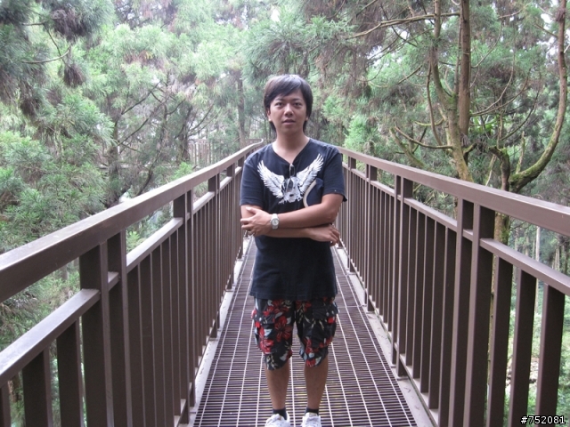 平鎮大桐半日遊