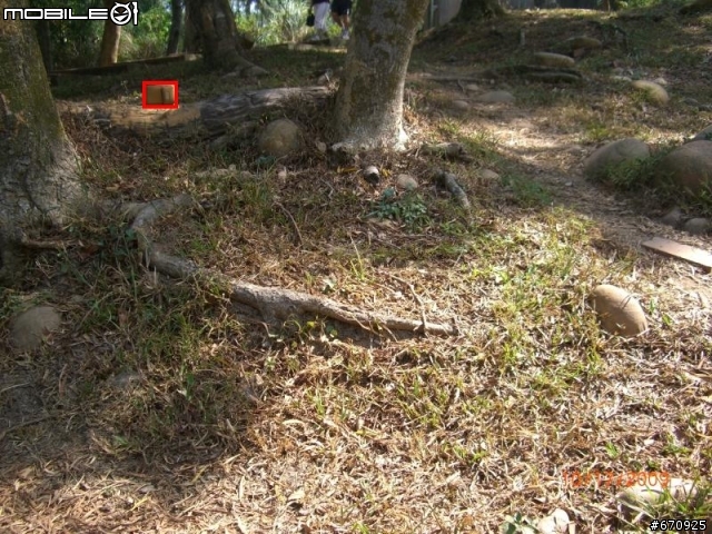 [首發]2009捷安特鐵鉆山DH賽道開箱文(誤)