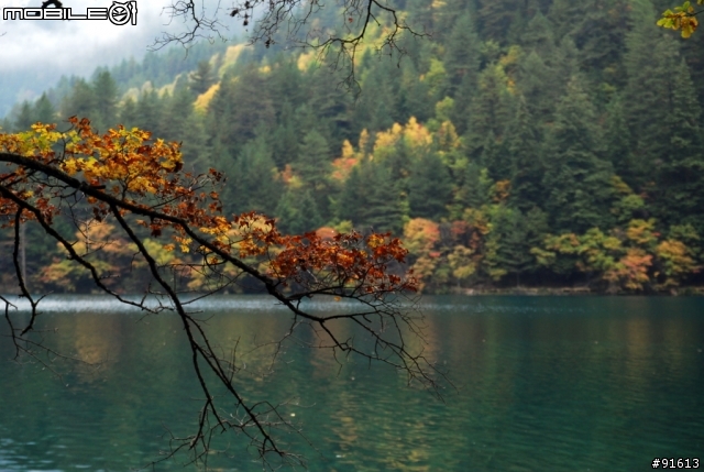 [分享-九寨溝] 絕塵九寨水如仙---峨眉樂山蜀中行