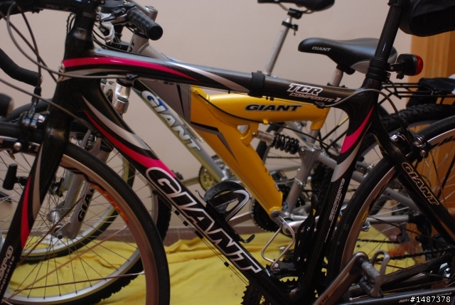 GIANT車架問題