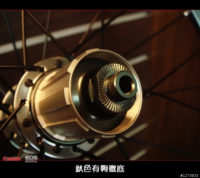 {分享}~不再是dahon專屬的星芒輪組~
