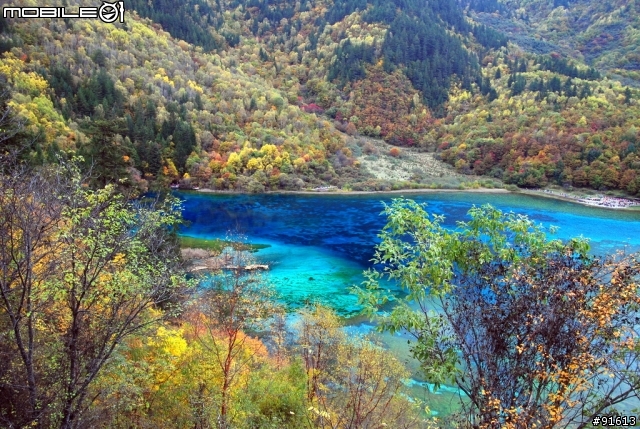 [分享-九寨溝] 絕塵九寨水如仙---峨眉樂山蜀中行