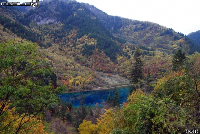 [分享-九寨溝] 絕塵九寨水如仙---峨眉樂山蜀中行