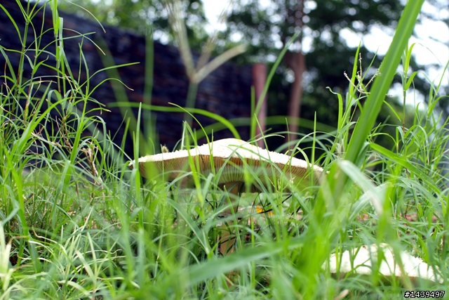 剛完成的台北之旅