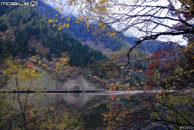 [分享-九寨溝] 絕塵九寨水如仙---峨眉樂山蜀中行