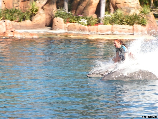 分享澳洲黃金海岸海洋世界遊樂場（SEA WORLD）