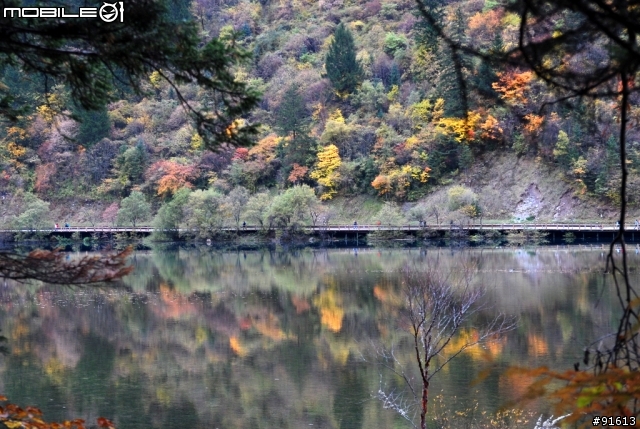 [分享-九寨溝] 絕塵九寨水如仙---峨眉樂山蜀中行