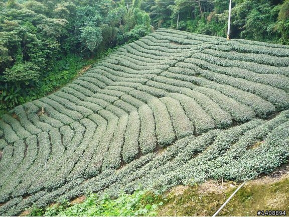 (相片分享)10/18(日)雲林塔可竹山番子田約騎活動照片