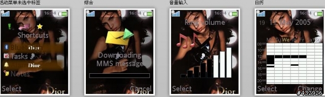 176*220    DIOR主題