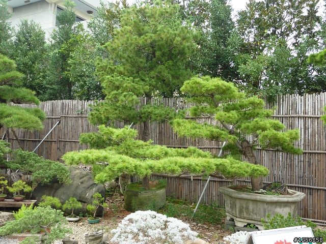 (照片分享)小折兵團約騎北斗田尾輕鬆騎破百之旅!