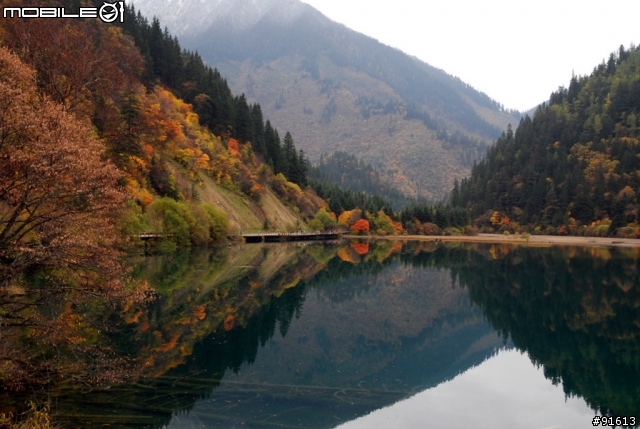 [分享-九寨溝] 絕塵九寨水如仙---峨眉樂山蜀中行