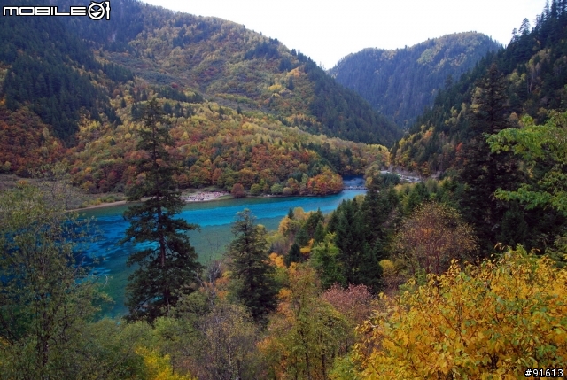 [分享-九寨溝] 絕塵九寨水如仙---峨眉樂山蜀中行