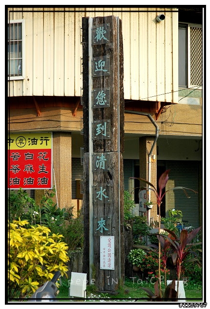 10/24日(兩鐵)清水米糕行119km之旅~(因颱風關係停辦)