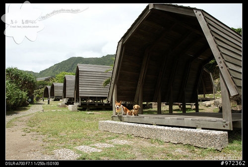 狗寶貝[柯基.臘腸]花蓮豐濱鄉--東台灣露營地「石梯坪」