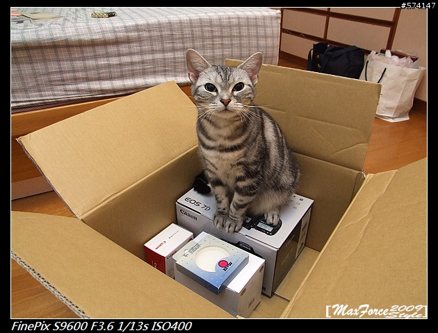 [開箱]開不膩之Canon 7D+55-250 IS開箱文