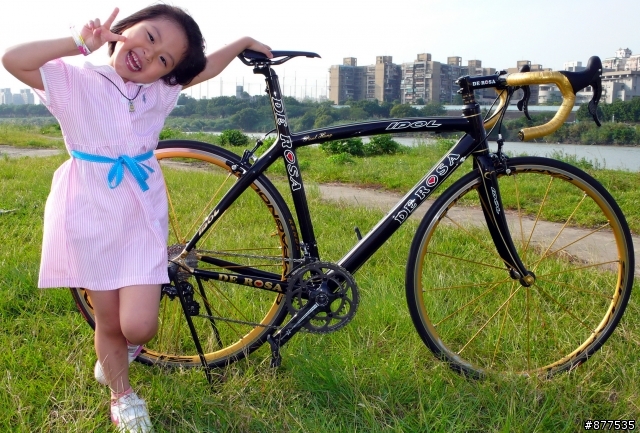 DE ROSA IDOL 獨一無二的義大利美后 客製版-金色