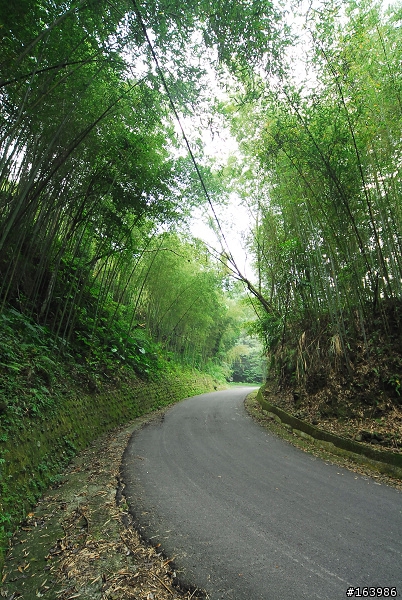 雪見之司馬限林道+後段offroad