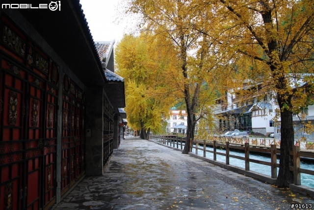 [分享-九寨溝] 絕塵九寨水如仙---峨眉樂山蜀中行