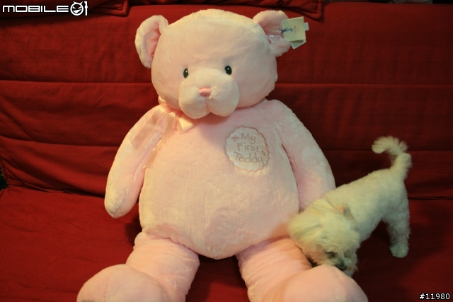 送給女兒的第一隻泰迪熊 - My first teddy bear