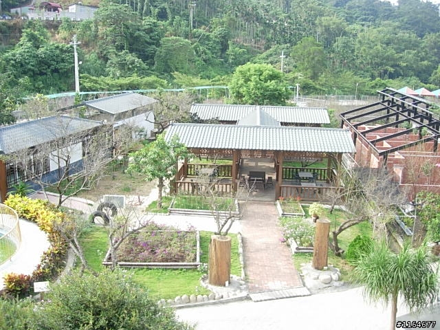 【團騎】11月22日(日)新社花海~要一起吃午餐的請快報名,前50名有贈品喔!