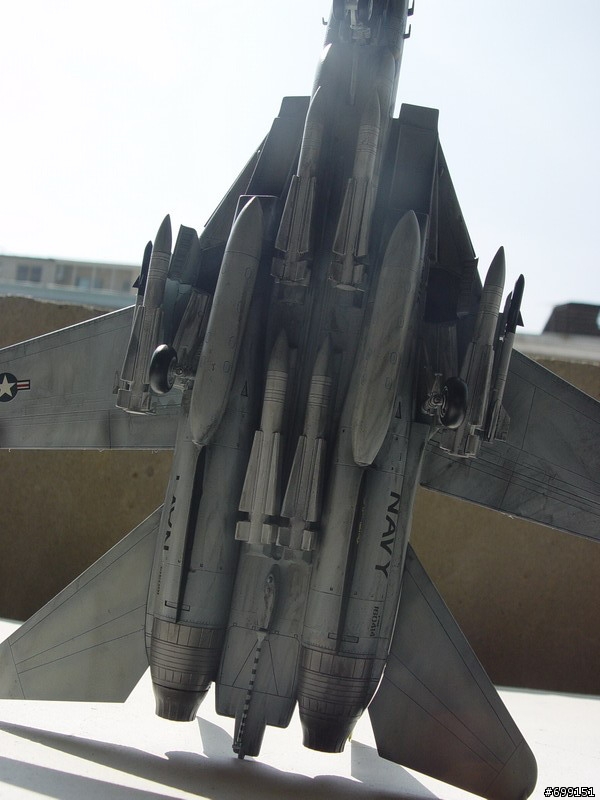 [分享] 總算完成的1/48富士貓  F-14A