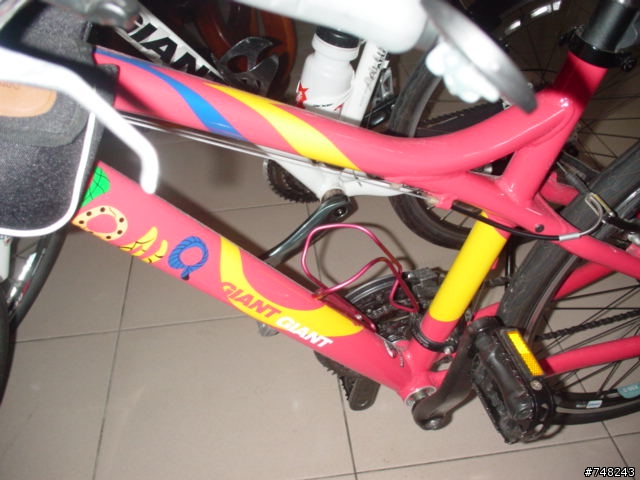 姐姐的生日禮物--NANA車登場