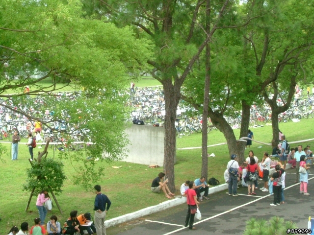 圖多 2009百事特盃全國小鐵人錦標賽花絮