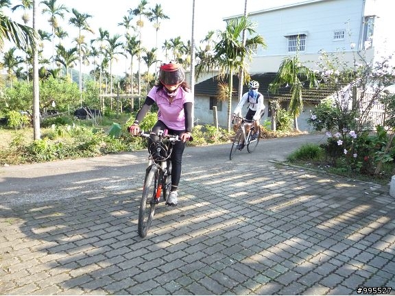 ﹝約騎﹞雲林塔可自行車隊-980926龍王山相片