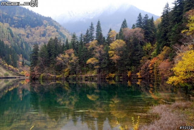 [分享-九寨溝] 絕塵九寨水如仙---峨眉樂山蜀中行