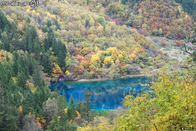[分享-九寨溝] 絕塵九寨水如仙---峨眉樂山蜀中行