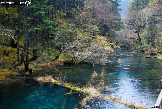 [分享-九寨溝] 絕塵九寨水如仙---峨眉樂山蜀中行