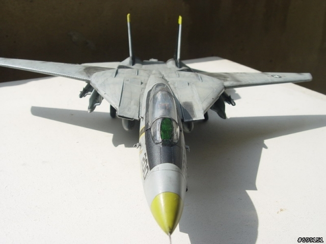 [分享] 總算完成的1/48富士貓  F-14A