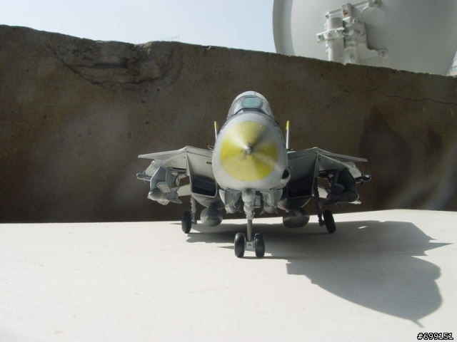 [分享] 總算完成的1/48富士貓  F-14A