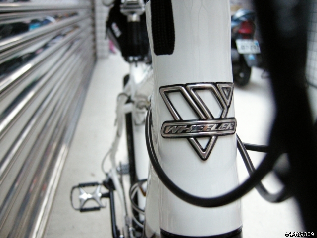 [分享]極不專業的新車分享 WHEELER PASSERA T55