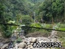 10月10號 雪見~遲到之旅  (後半段已補文 可收看了)