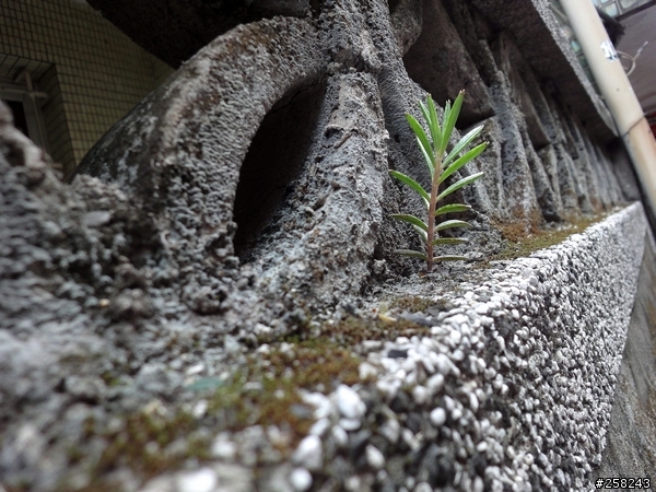【分享】Sony WX1日拍snap~~~