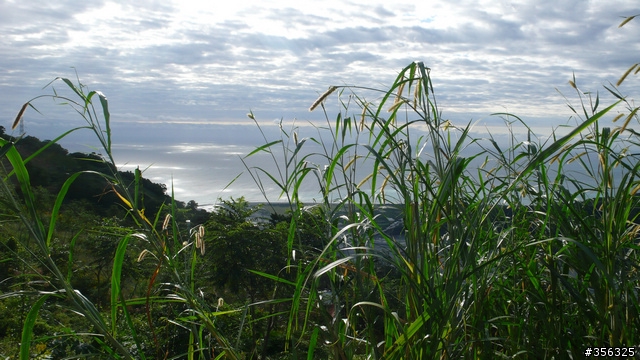 [遊記] 攻上太麻里山一等三角點, 期待曙光再起!!