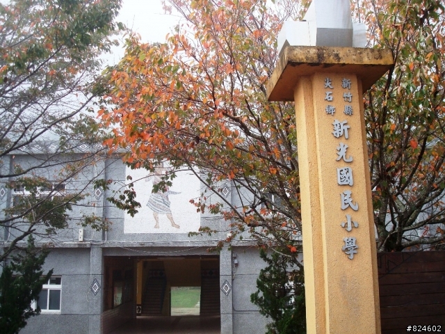 [遊記] 司馬庫斯全攻略 - 新光、鎮西堡、司馬庫斯之路16K去回、司馬庫斯神木群步道