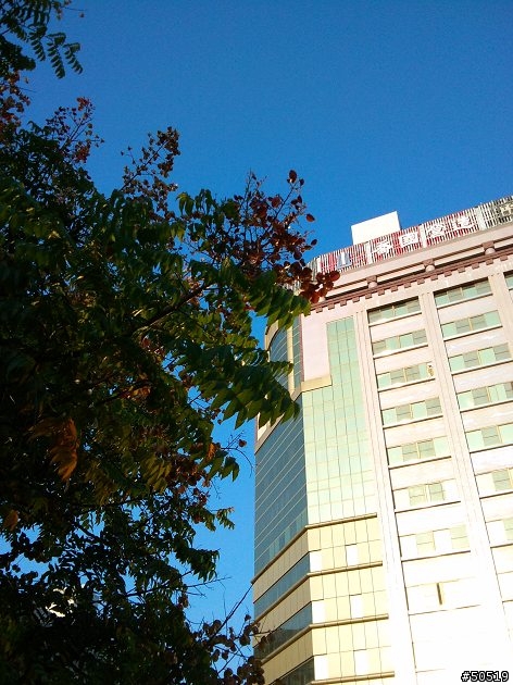 台中 隨手街拍 _ C901