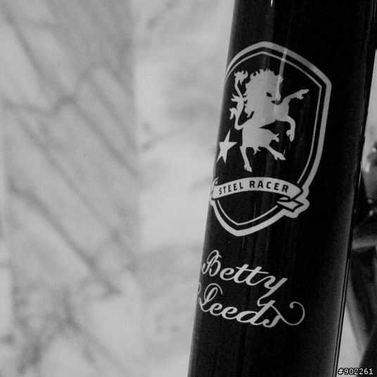 優雅的力量 - Fixie Inc. Betty Leeds