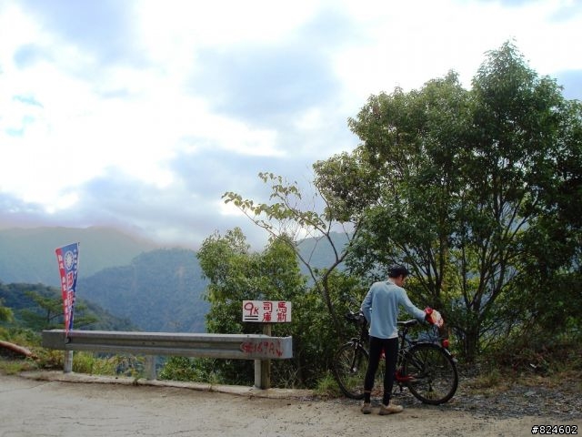 [遊記] 司馬庫斯全攻略 - 新光、鎮西堡、司馬庫斯之路16K去回、司馬庫斯神木群步道
