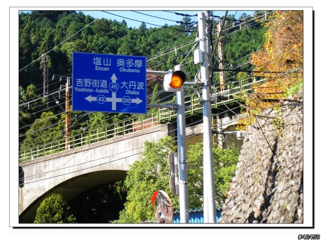 [NEW MAJESTY] 奧多摩周遊道路賞楓