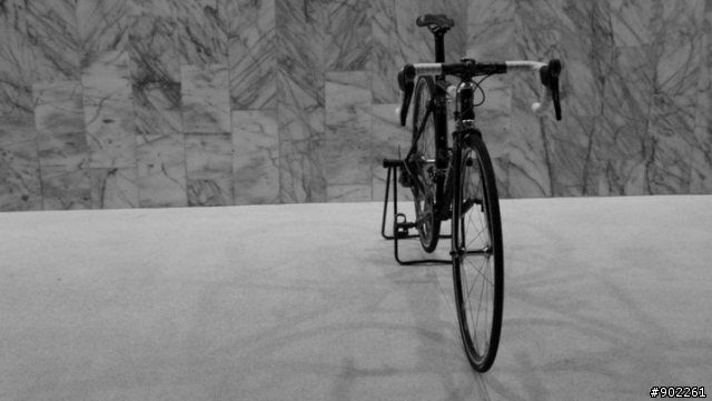 優雅的力量 - Fixie Inc. Betty Leeds
