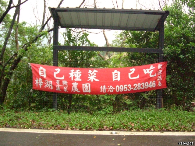 [圖非常多]體會2010年初貓空掠嶺自行車挑戰賽之阿柔洋完全記錄