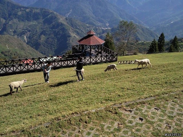 丹丹之老天超賞臉的首次清境+福壽山之旅